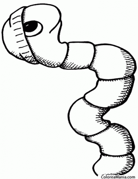 Раскраска желейные червячки