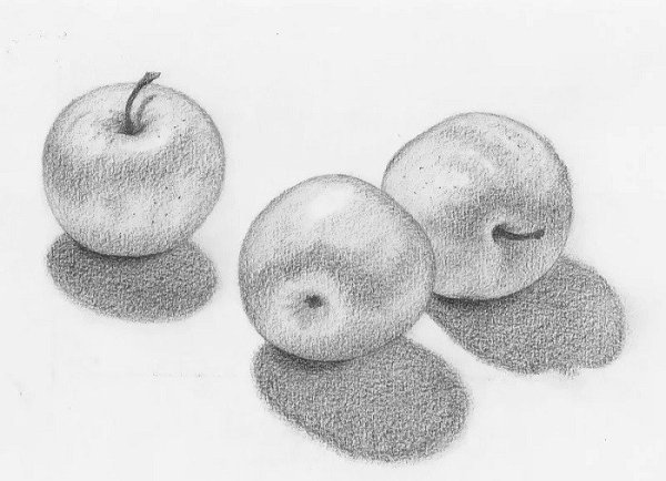 Фрукты карандашом