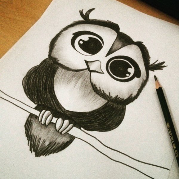 Сова для срисовки