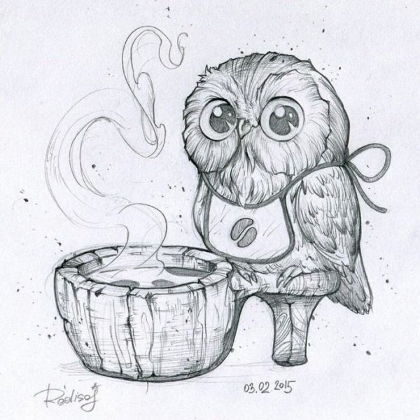 Рисунок Совы карандашом для срисовки