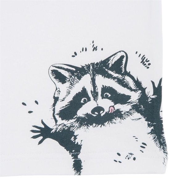 Енот Графика