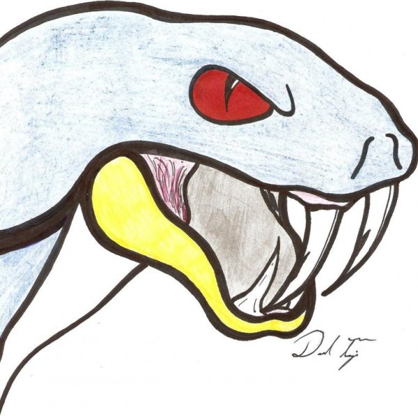 Рисунок змеи для срисовки легкие