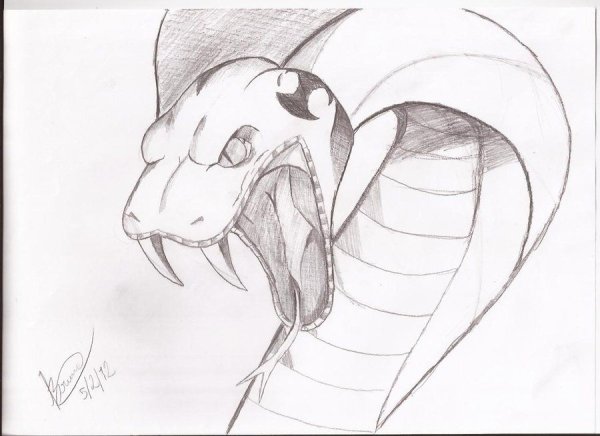 Змея карандашом для срисовки