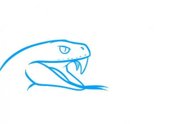 Как нарисовать голову змеи