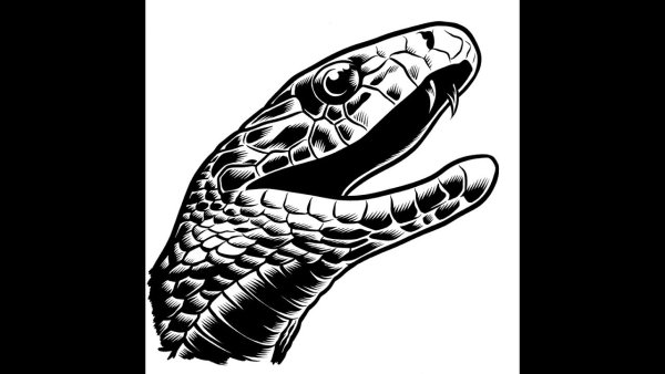 Векторная Кобра