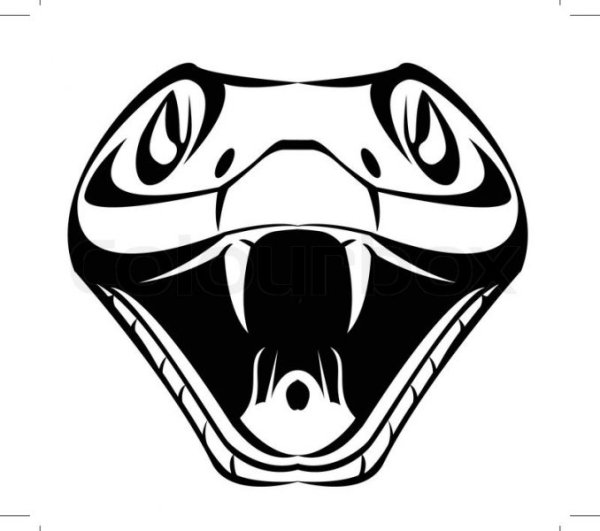 Голова змеи лого