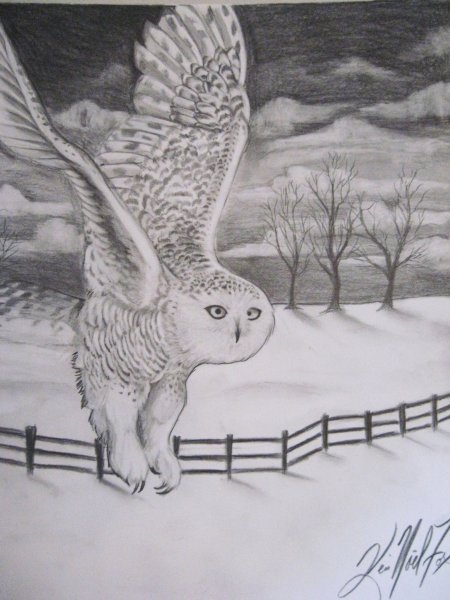 Рисунки карандашом природа и животные