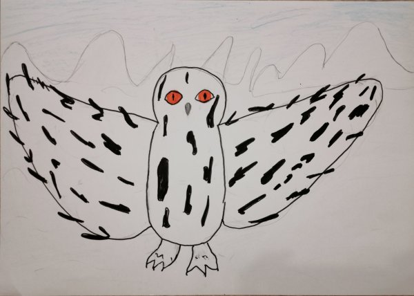 Рисуем полярную сову
