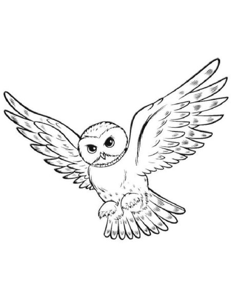 Раскраска Букля из Гарри Поттера