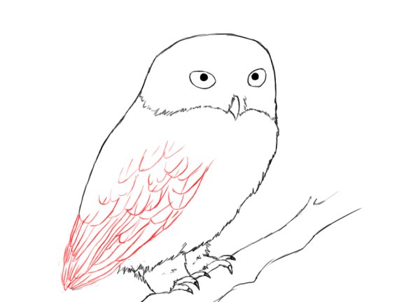 Белая Сова нарисовать