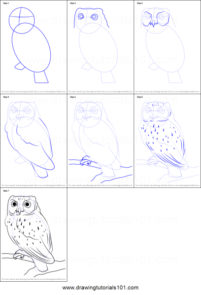 Рисуем сову поэтапно карандашом
