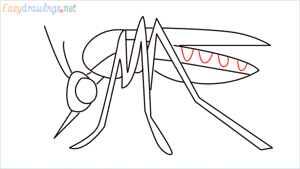 Комар поэтапное рисование