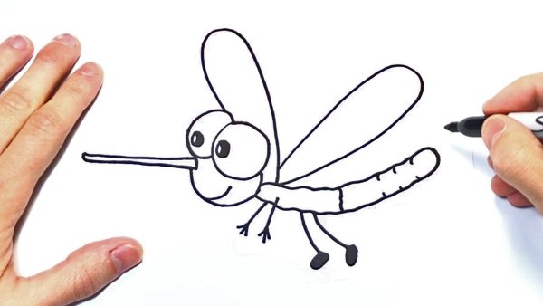 Раскраска насекомые комар