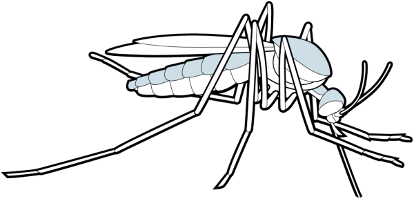 Комар поэтапное рисование