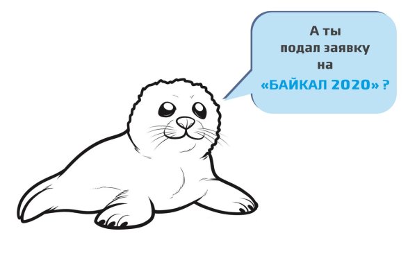 Тюлень рисунок