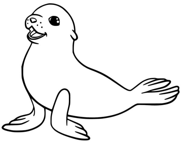 Тюлень рисунок 1 класс