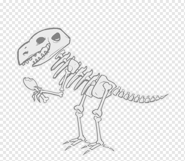 Мультфильм про динозавров кости