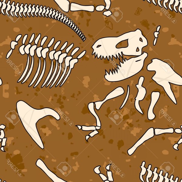 Графичные кости динозавров