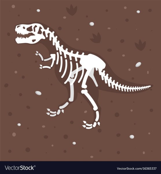 Скелет тираннозавра раскраска