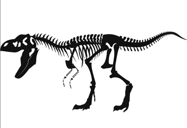 Скелет динозавра рисунок для детей