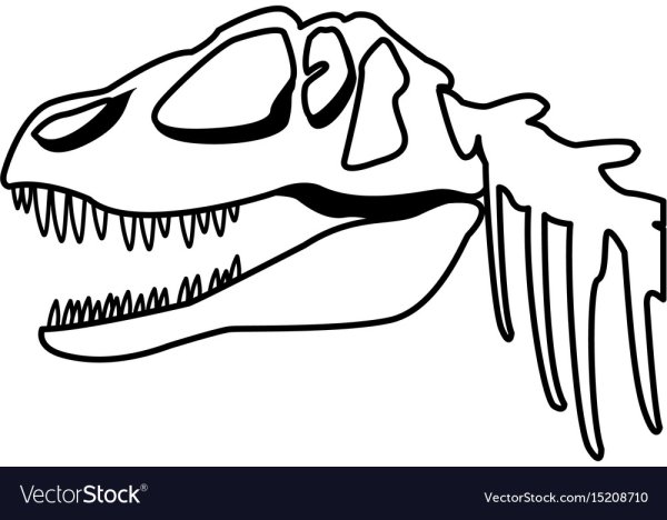 Скелет тираннозавра раскраска