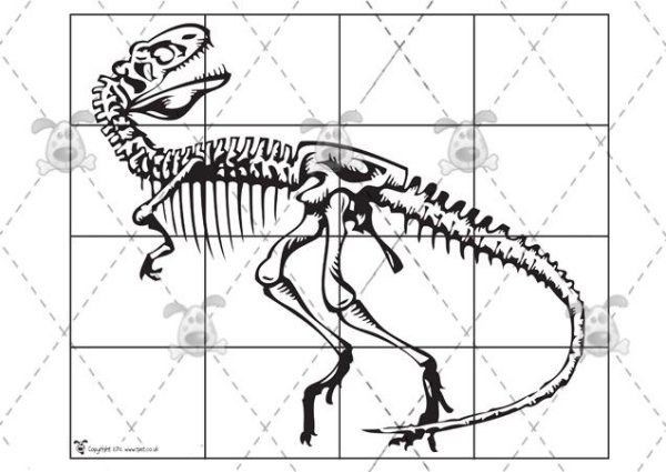 Скелет динозавра схема