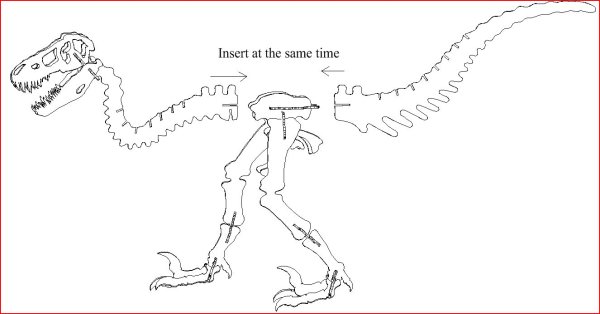 Скелет динозавра раскраска
