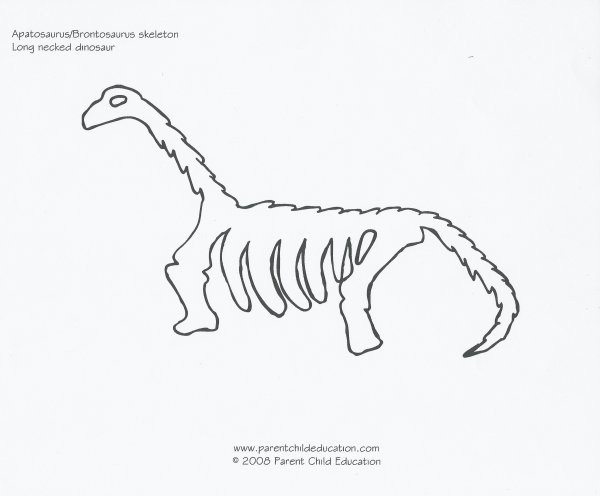 Скелет динозавра рисунок для детей