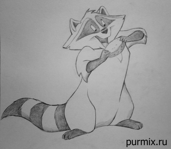 Енот карандашом для срисовки