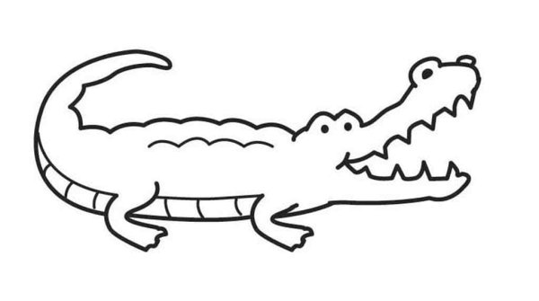 Поэтапное рисование крокодила
