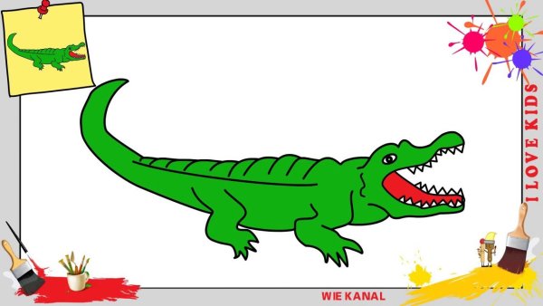 Очертания крокодила