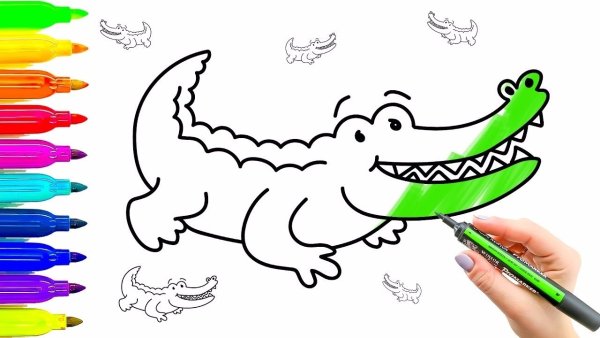 Раскраска крокодил Аллигатор