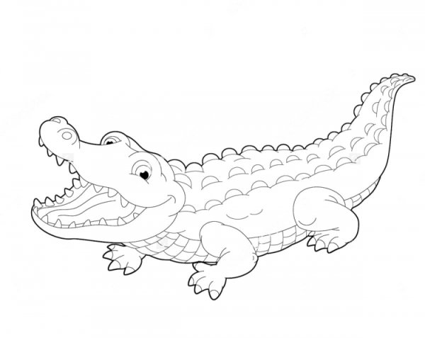 Раскраска крокодил