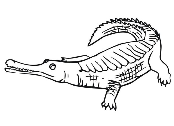 Раскраска Крокодильчик с мамой