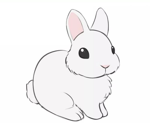 Заяц цветными карандашами