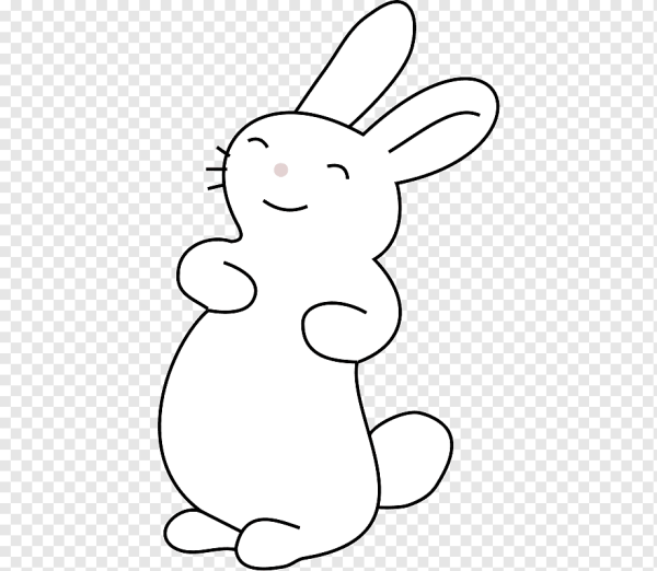 Зарисовки зайца