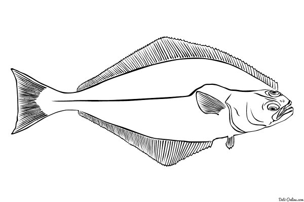 Сушеная рыба вектор