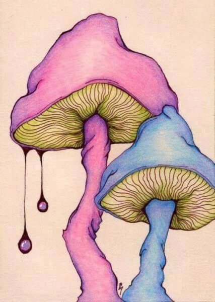 Галлюциногенные грибы арт