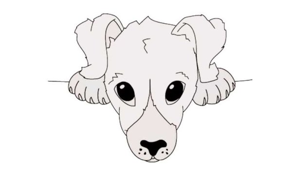 Поэтапное рисование мордочки собаки