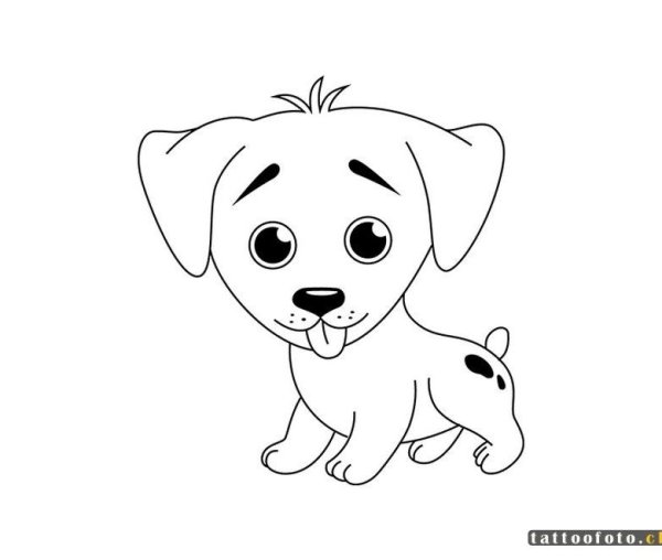 Мальтийская болонка раскраска