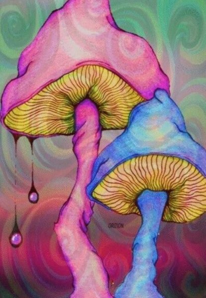 Трип грибы псилоцибы