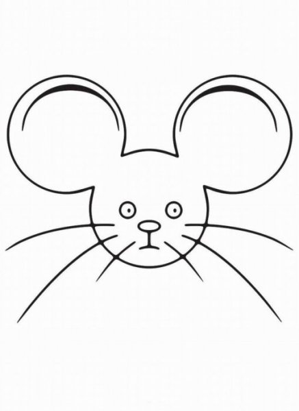 Контур голова мышки