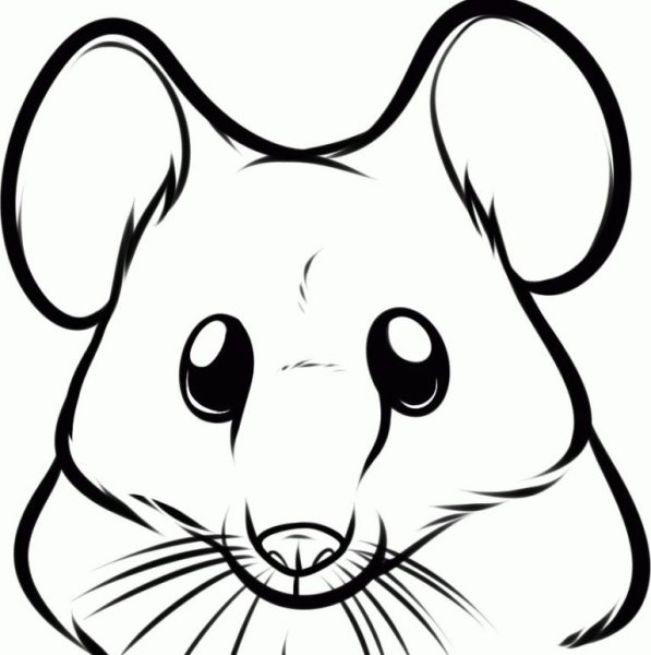 Морда мышки