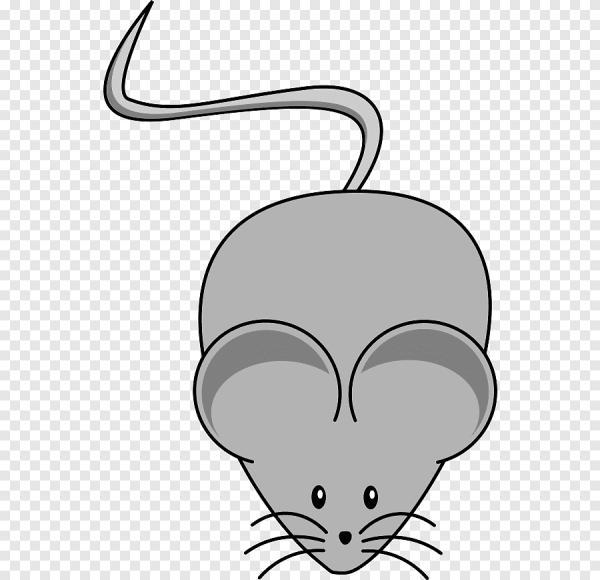 Мордочка мышки