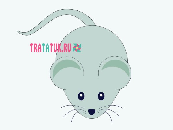 Морда крысы рисунок