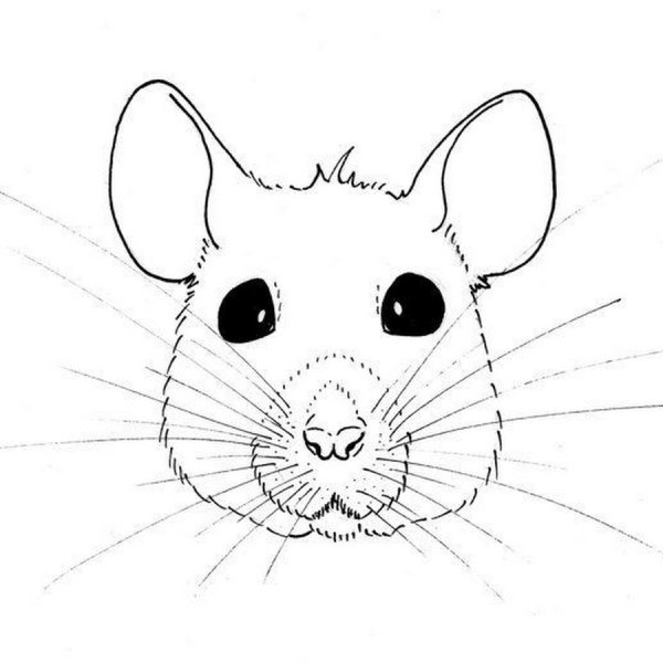 Маска мышки