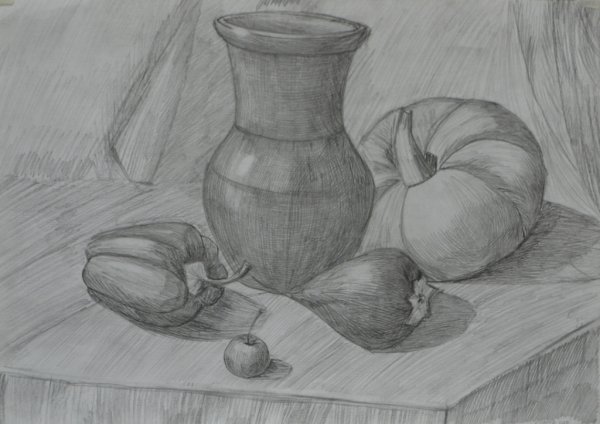 Натюрморт карандашом для начинающих