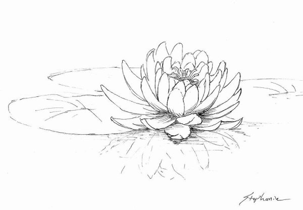 Лист кувшинки трафарет