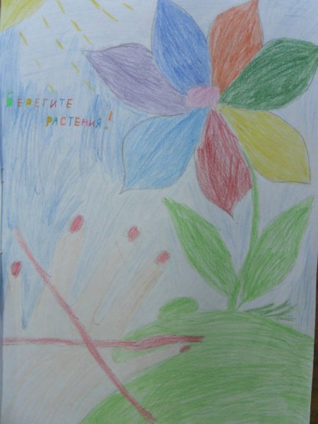 Плакат берегите растения