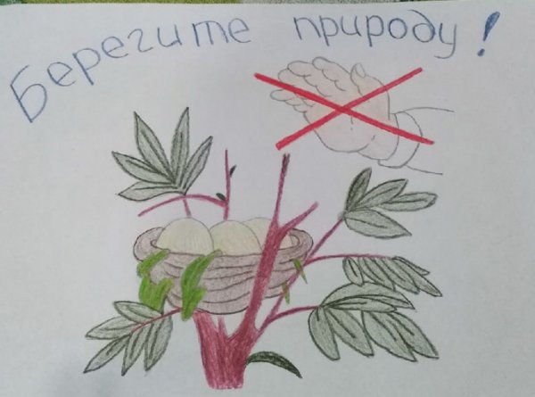 Знаки защиты природы для детей